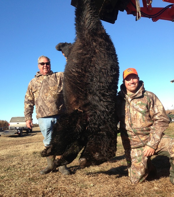 Guided Black Bear Hunting Trips in Northeastern North Carolina