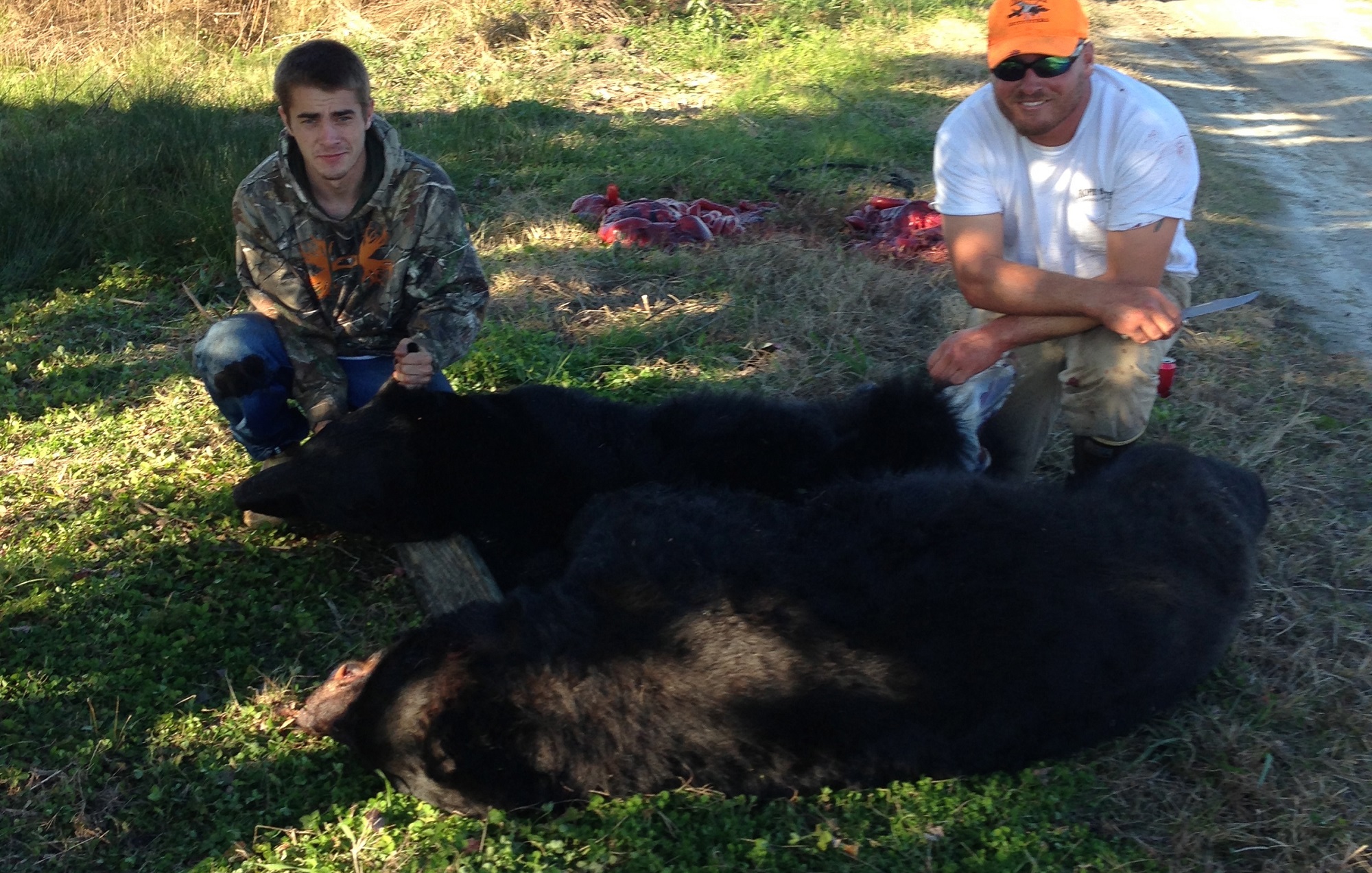 Northeastern Black Bear Guided Hunting Trips