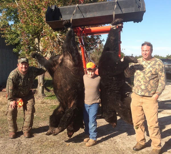 Northeastern North Carolina Black Bear Guided hunting service