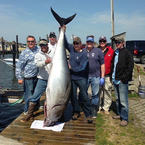 Deep Sea Charter Fishing in the Gulf Stream